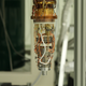 El microscopio utilizado por el equipo de investigadores.